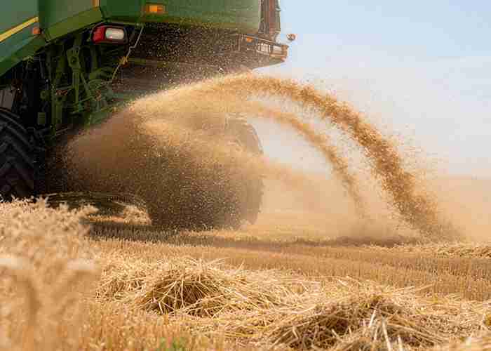 Agriculture-gear-manufacturer-supplier-agricultural-equipment-gear-Belon