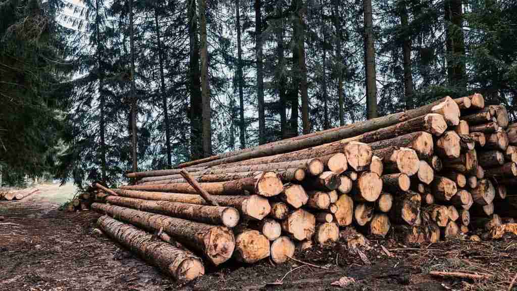Gear-for-wood-fiber-gear-solutions-gear-supplier-belon-gear-manufacturer
