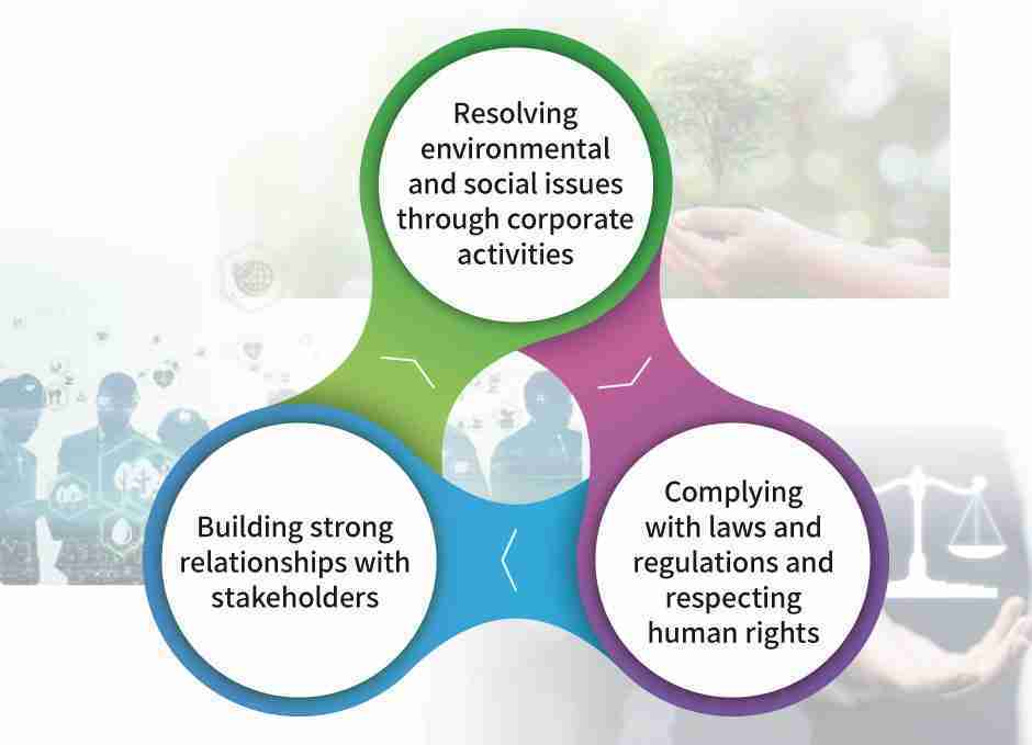 Human-rights-basic-policy-Belon