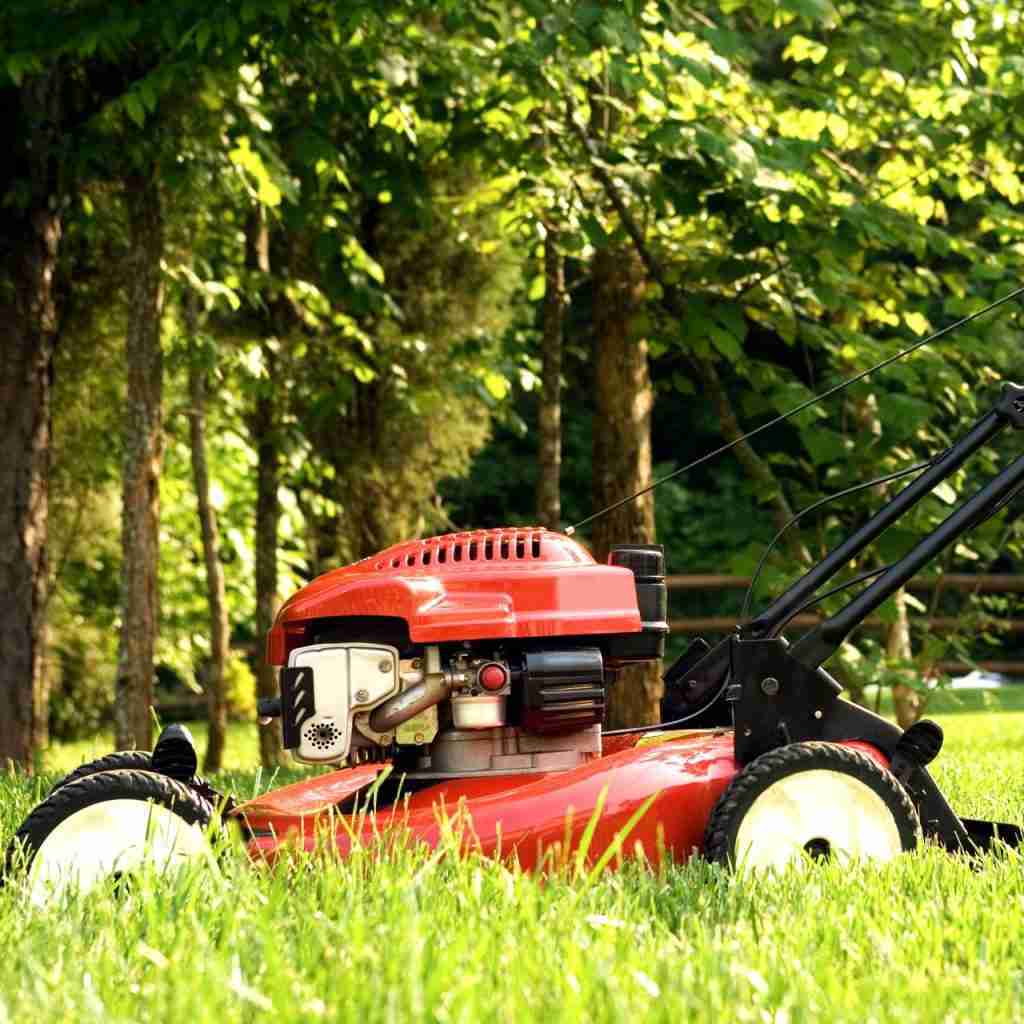 lawn-mower-gear-spur-gear-helical-gear-supplier-gear-solutions-Belon