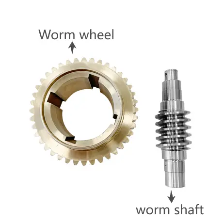 worm-and-worm-wheel